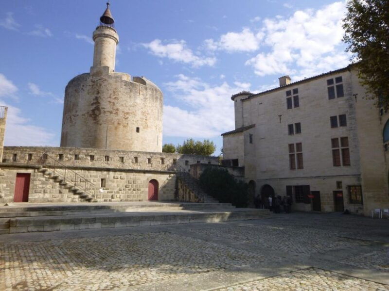 le-grau-du-roi-half-day-tour-of-camargue