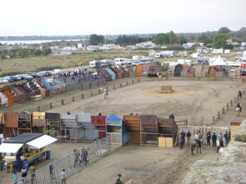le-grau-du-roi-half-day-tour-of-camargue