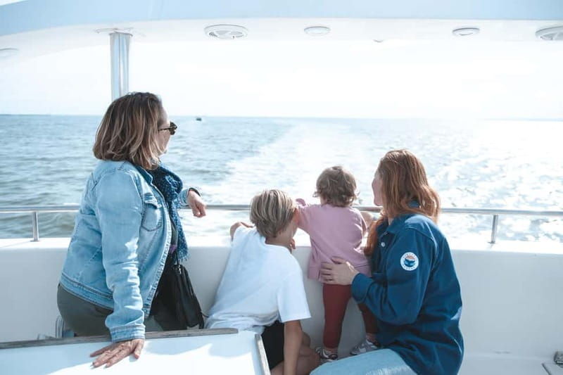 Le Grau-du-Roi - Sea trip to meet the fishing trawlers - An Authentic Glimpse into Local Fishing Life