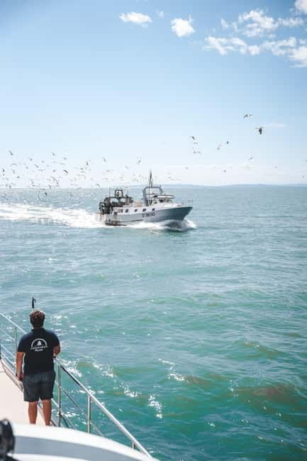 Le Grau-du-Roi - Sea trip to meet the fishing trawlers - What Makes This Tour Stand Out?