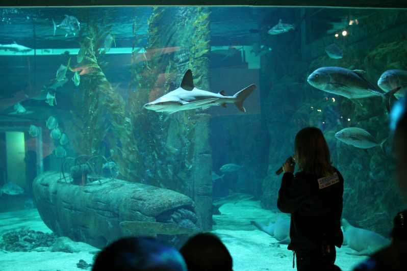 Le Grau-du-Roi: Seaquarium Skip-the-Line Entrance Ticket - A Closer Look at the Le Grau-du-Roi Seaquarium Experience