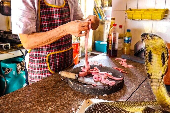Le Mat Snake Village Tour with 10 Dishes in Hanoi - How the Tour Works: Practical Details