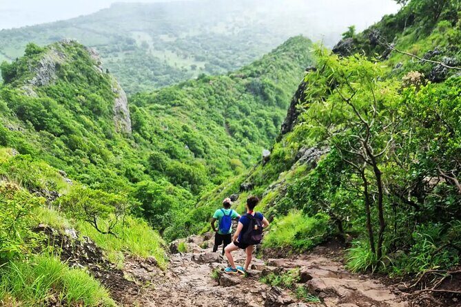 Le Morne Brabant Hike A Journey Through History - Key Points