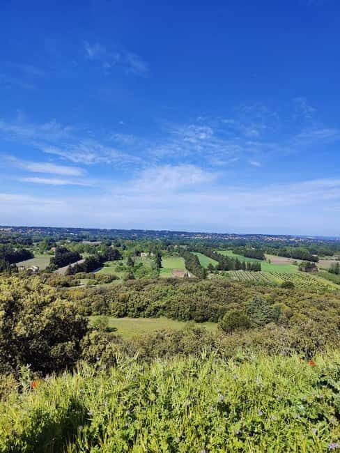 Le Thor, Châteauneuf De Gadagne, St-Saturnin Les Avignon by electric bike - Authenticity and Insider Tips