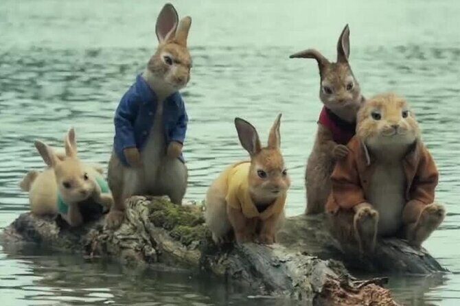 Leam Chabang Port To Pattaya Cultural Exploration Tour - Introduction to the Tour Experience