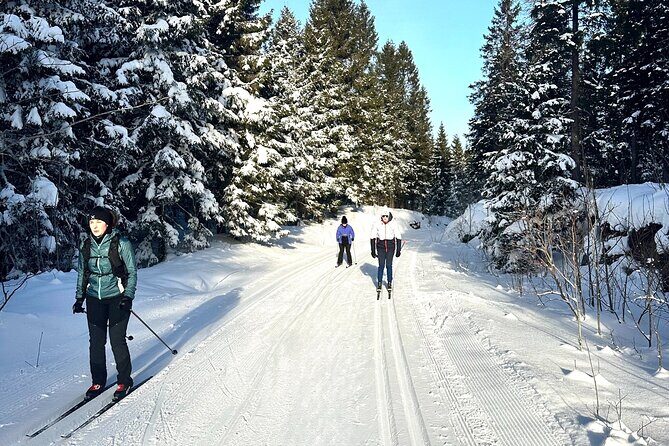 Learn Nordic Skiing - Private Class with Professional Instructor - The Practicalities and Value