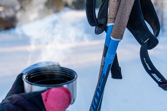 Learn Nordic Skiing - Private Class with Professional Instructor - The Sum Up