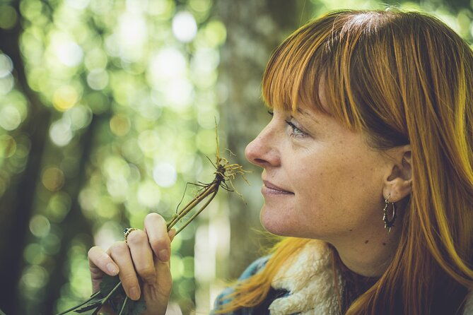 learn-to-forage-in-llangollen