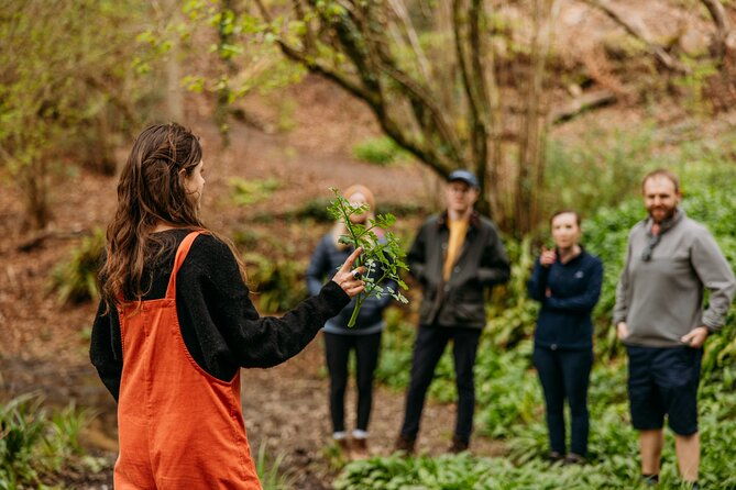 learn-to-forage-in-llangollen