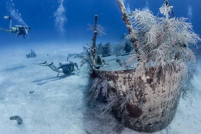 learn-to-scuba-dive-in-grand-cayman