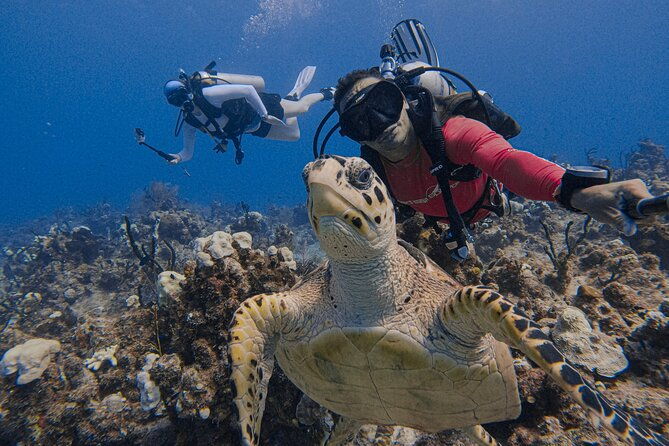 learn-to-scuba-dive-in-grand-cayman