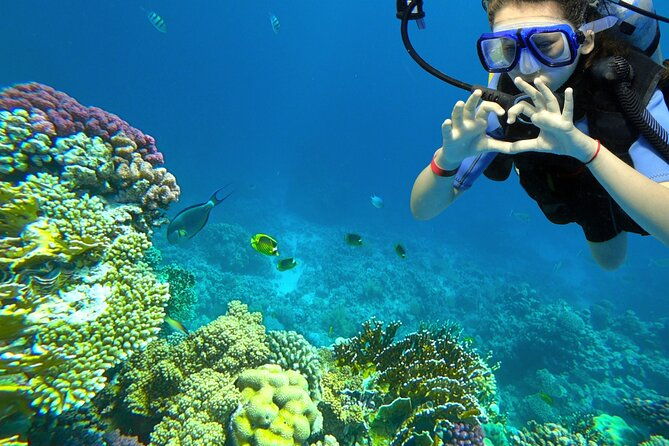 learn-to-scuba-dive-with-a-professional-instructor-in-key-largo-all-inclusive