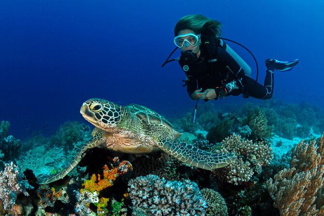 learn-to-scuba-dive-with-a-professional-instructor-in-key-largo-all-inclusive