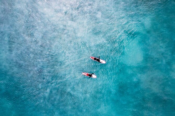learn-to-surf-in-paradise