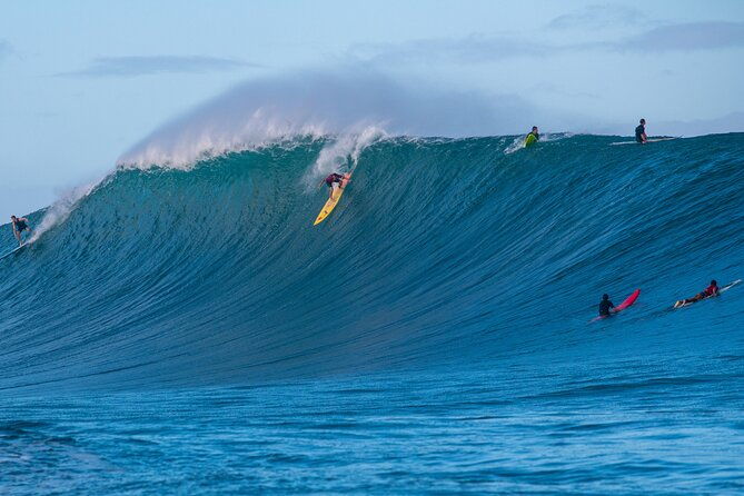 learn-to-surf-with-a-local-big-wave-rider-on-the-north-shore-of-oahu