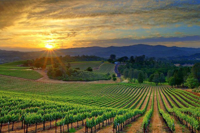 Lebanon Wine Tasting Tour From Beirut - Price and Value