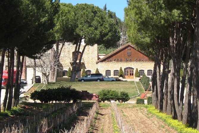 Lebanon Wine Tasting Tour From Beirut - Real Experiences from Reviewers