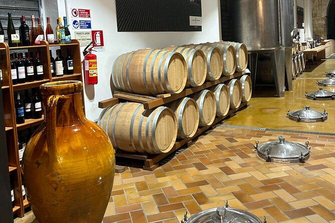 lecce-e-bike-tour-to-galatina-with-old-olive-mill-wine-tasting