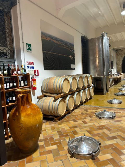 lecce-e-bike-tour-to-galatina-with-olive-mill-wine-tasting