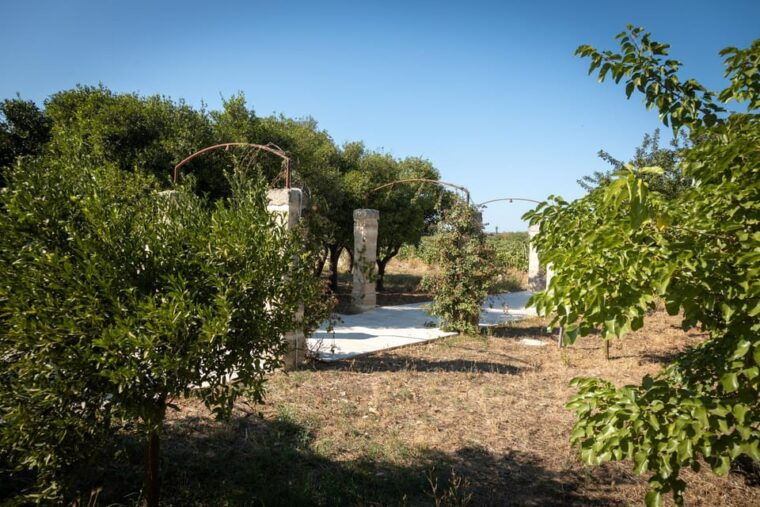 lecce-golden-vine-escape-sunset-picnic-wine-tasting