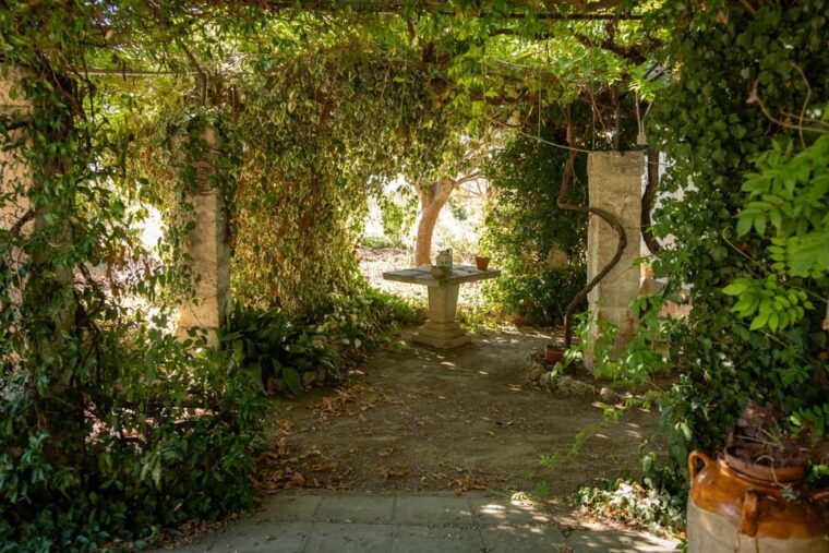 lecce-golden-vine-escape-sunset-picnic-wine-tasting