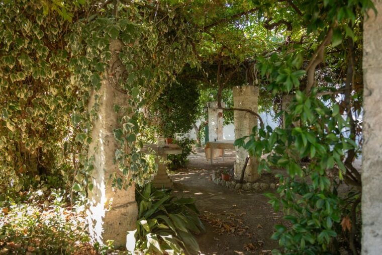 lecce-golden-vine-escape-sunset-picnic-wine-tasting