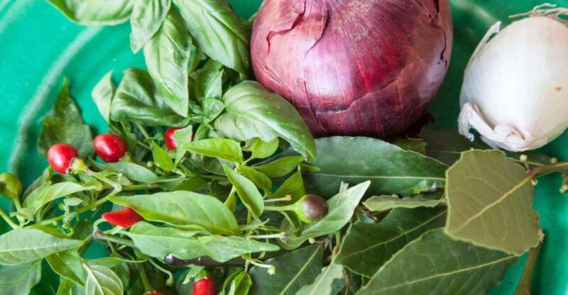 lecce-market-and-private-cooking-class-at-a-locals-home