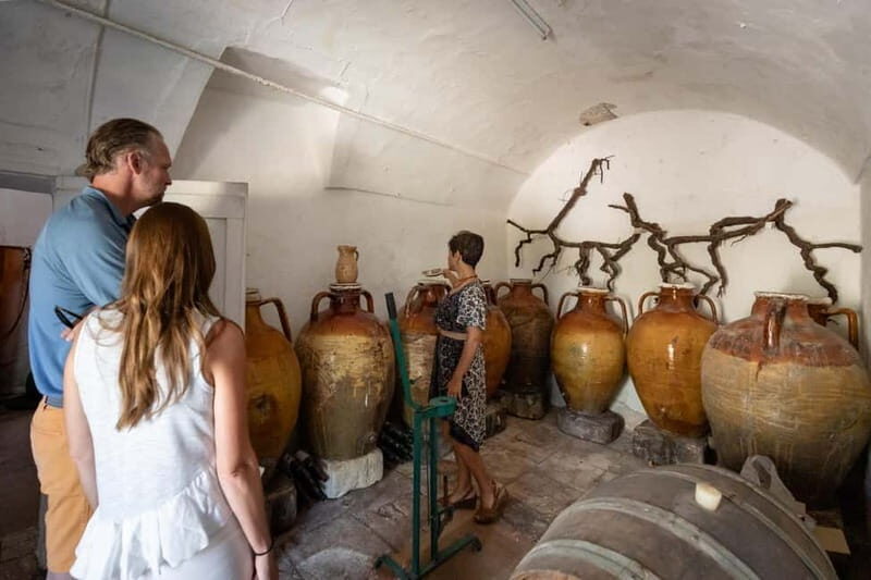 Lecce: Rural Cooking Class with Wine Tasting - Key Points