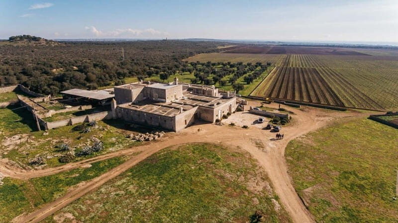 Lecce: Taranto and Manduria Winery Tour with Wine Tasting - Key Points