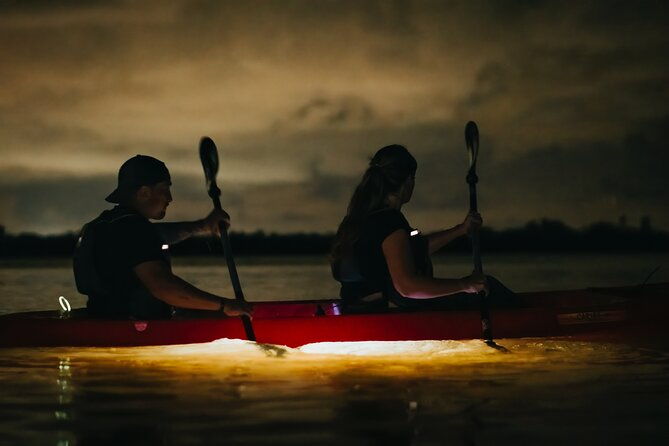 led-bio-comb-jelly-clear-bottom-kayak-or-paddleboard-tour