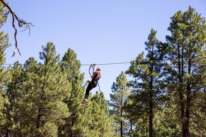 ledgewood-adventure-course