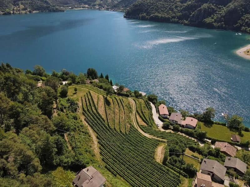 Ledro Lake: Guided Tour & Wine Tasting Among the Vines - Tasting the Wines & Local Products