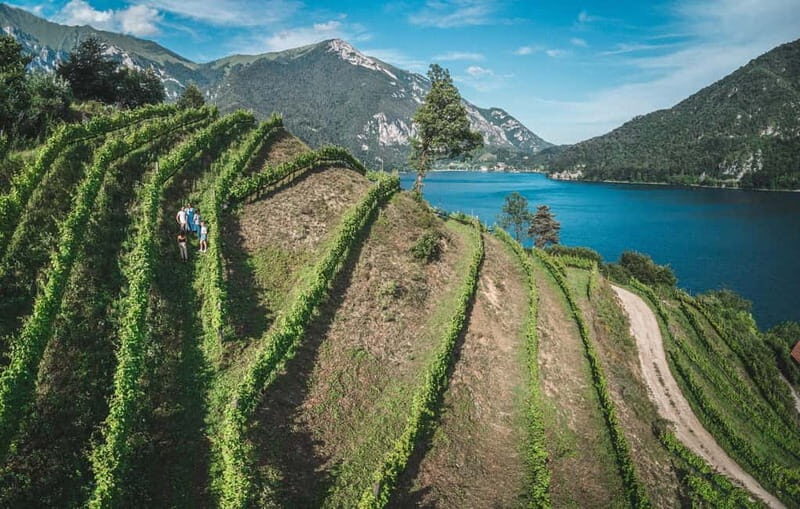 Ledro Lake: Guided Tour & Wine Tasting Among the Vines - Practical Details & Value
