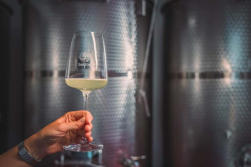 Ledro Lake: Guided Tour & Wine Tasting Among the Vines - Who Will Love This Experience?