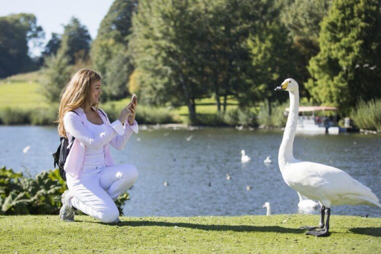 leeds-castle-canterbury-cathedral-dover-private-tour