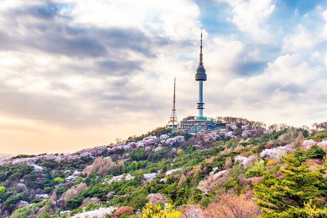 Lees Private Half Day Customized Seoul Tour - Final Thoughts