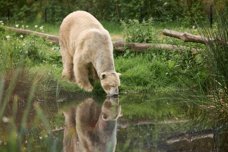 leewarden-aquazoo-entry-ticket