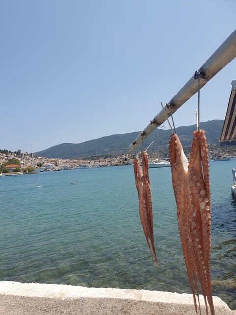 Lefkada Island Day Trip: Explore Beaches and Scenic Wonders - Price and Value Analysis