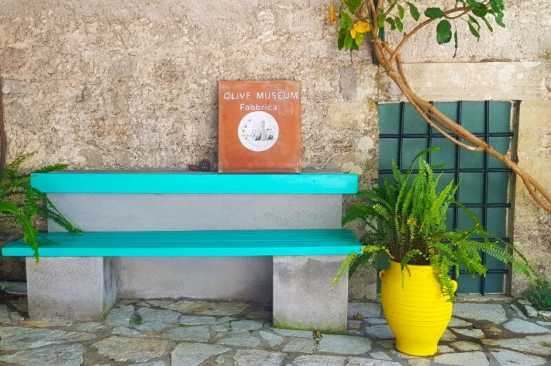 lefkada-olive-museum-fabbrica-ticket-and-guided-tour