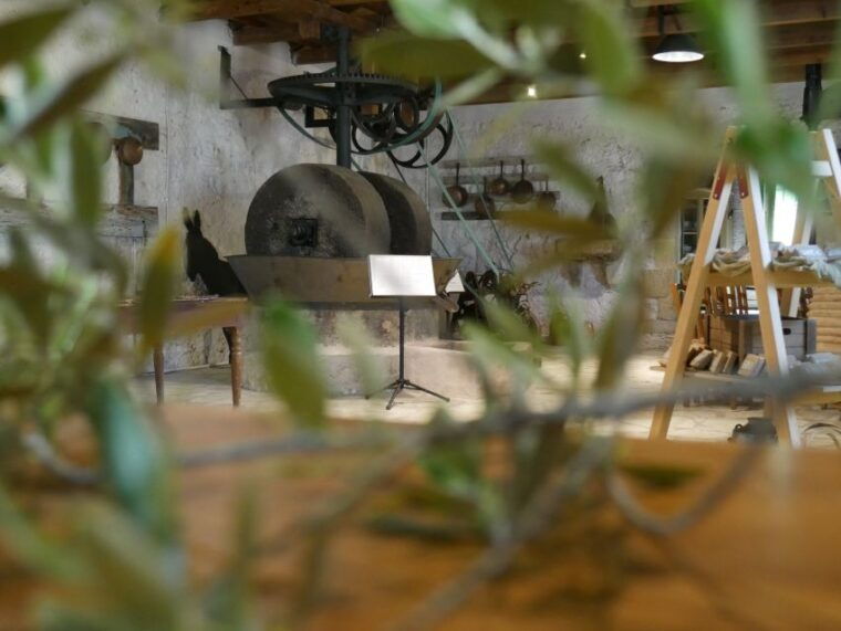 lefkada-olive-museum-fabbrica-ticket-and-guided-tour