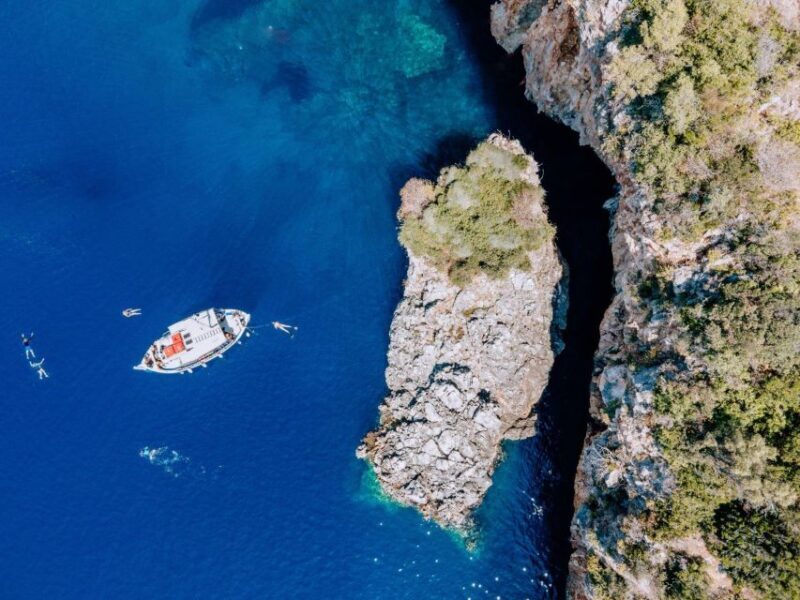 Lefkada: Private Marine Wildlife tour - Pricing and Value