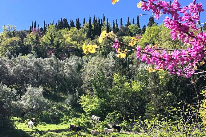 lefkada-tour-on-electric-bike-tailor-made