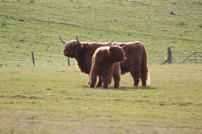 legendary-loch-ness-and-urquhart-castle-tour