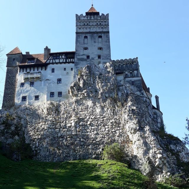 legendswildlife-awaits-draculas-castle-bear-sanctuary-2