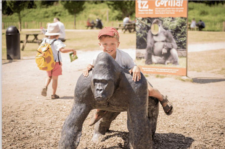 leicestershire-twycross-zoo-entry-ticket