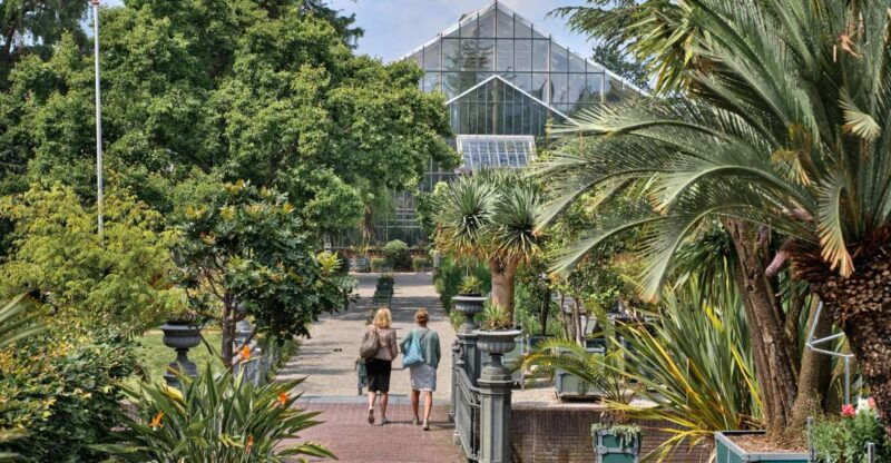 leiden-hortus-botanicus-entry-ticket