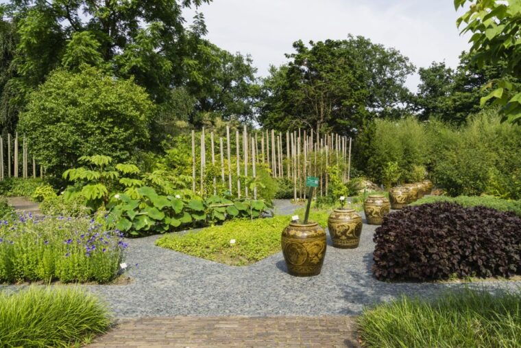leiden-hortus-botanicus-entry-ticket