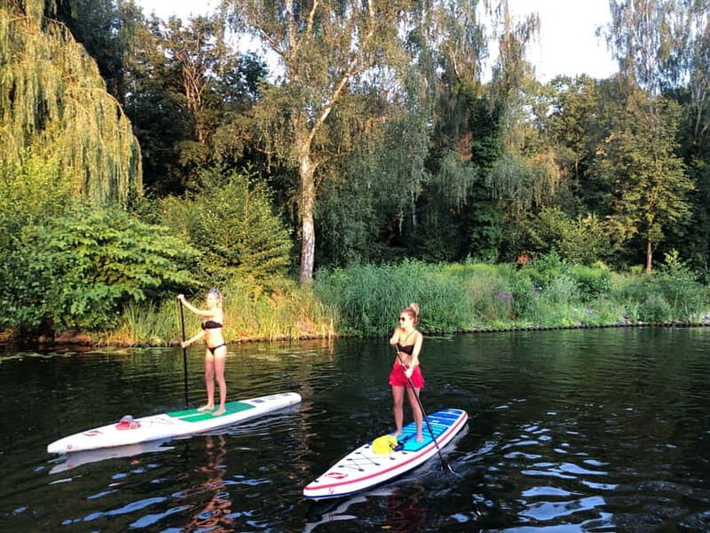 Leipzig: Cospudener Lake Stand-Up Paddleboard Course - An Introduction to the SUP Experience in Leipzig
