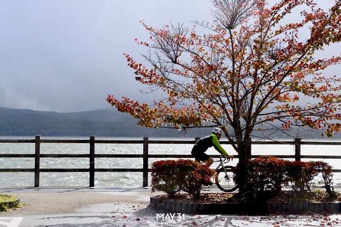 Leisure Cycling Tour Around Mt. Fuji's Five Lakes - Who Will Love This Tour?