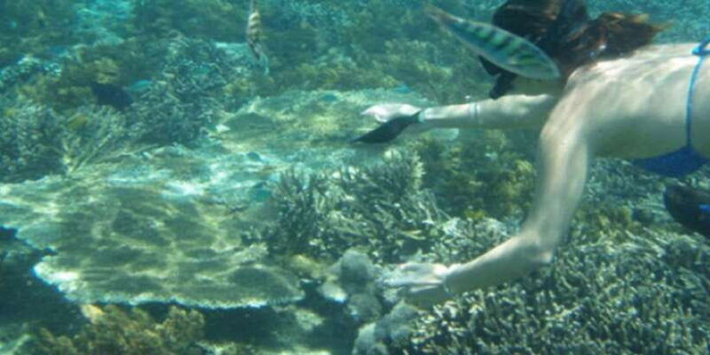 lembongan-fully-enjoy-snorkeling-sightseeing-1day-tour